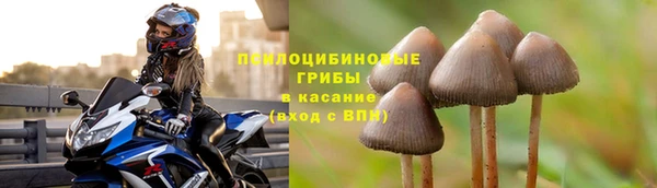 прущие крисы Абинск