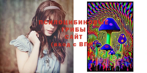а пвп мука Абаза