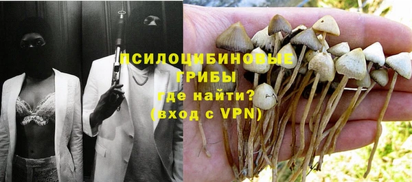 а пвп мука Абаза